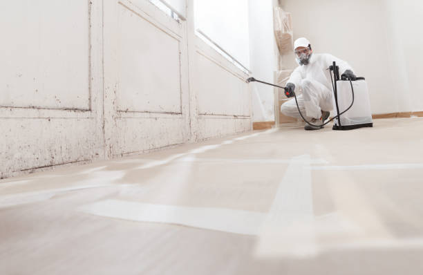24/7 Emergency Mold Testing experts in Erwin, NC